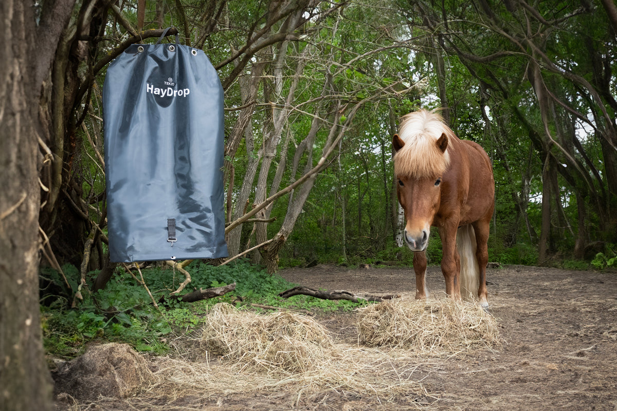HayDrop hanging near a horse with hay ready to eat